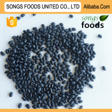 Heilongjiang Black Kidney Beans New Crop